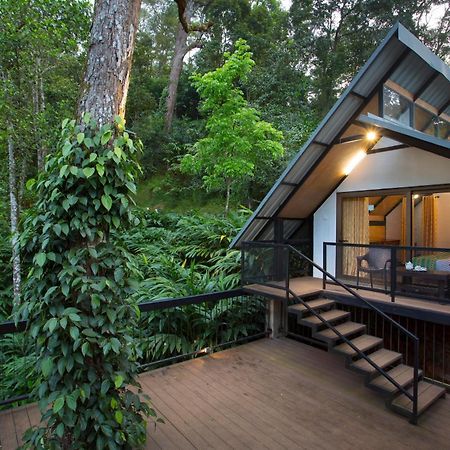 Bamboo Dale Resort, Munnar Exteriör bild