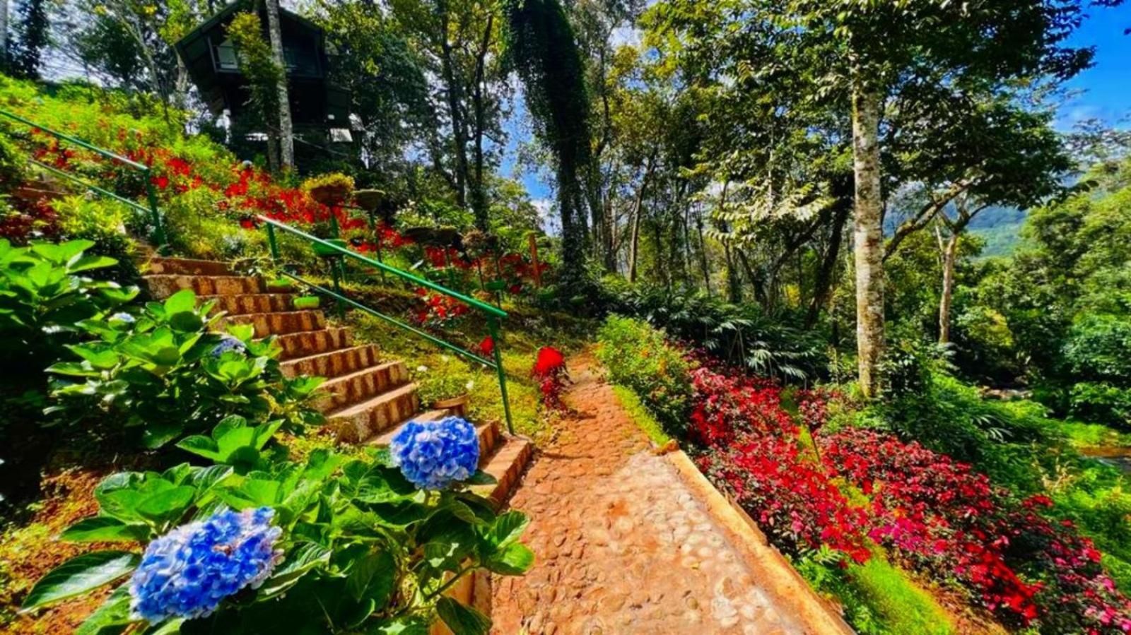 Bamboo Dale Resort, Munnar Exteriör bild