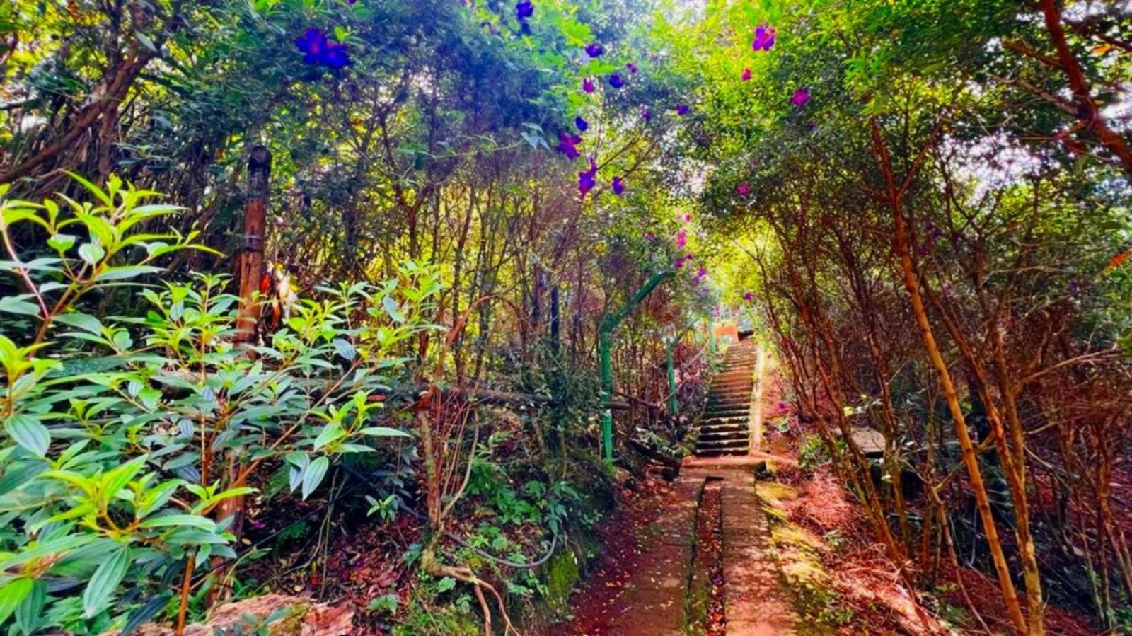 Bamboo Dale Resort, Munnar Exteriör bild