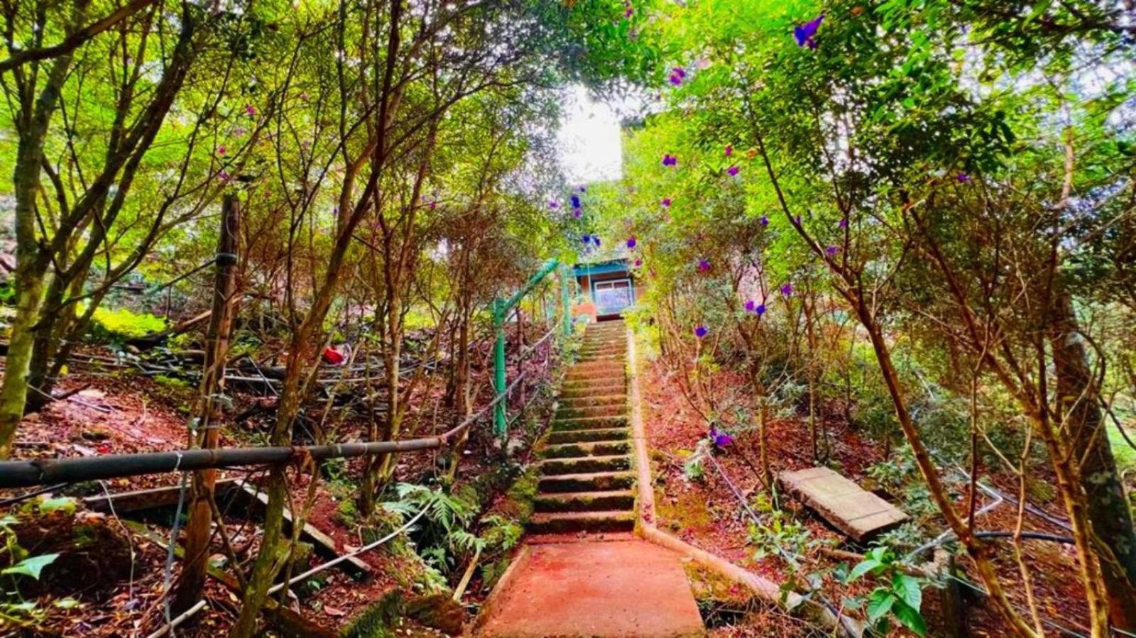 Bamboo Dale Resort, Munnar Exteriör bild