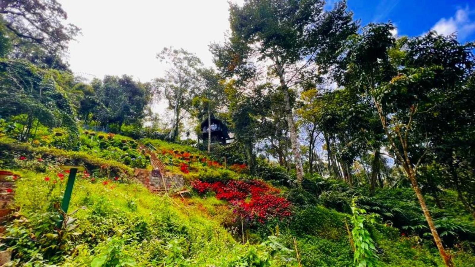 Bamboo Dale Resort, Munnar Exteriör bild