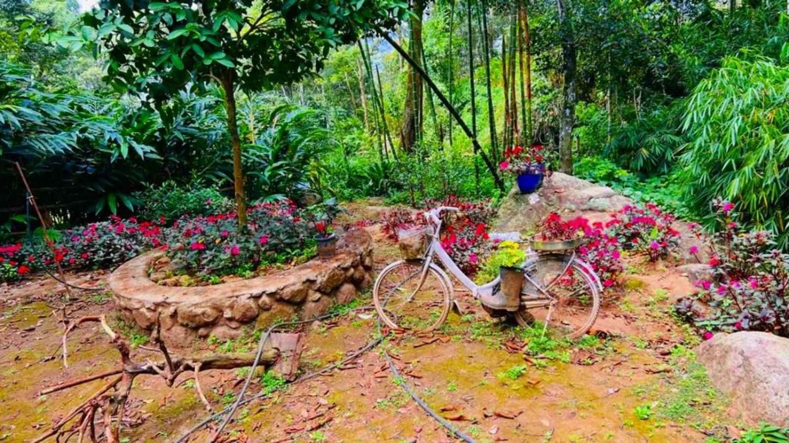 Bamboo Dale Resort, Munnar Exteriör bild