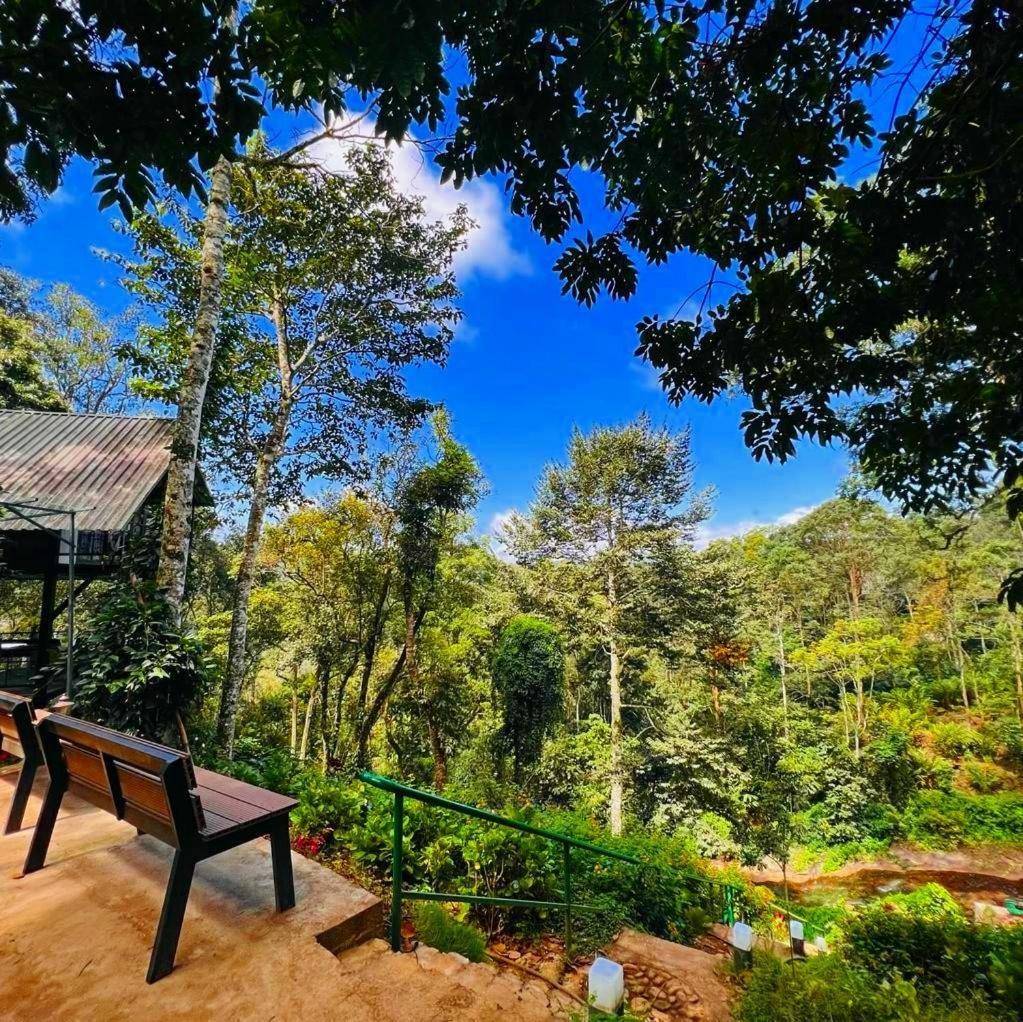 Bamboo Dale Resort, Munnar Exteriör bild