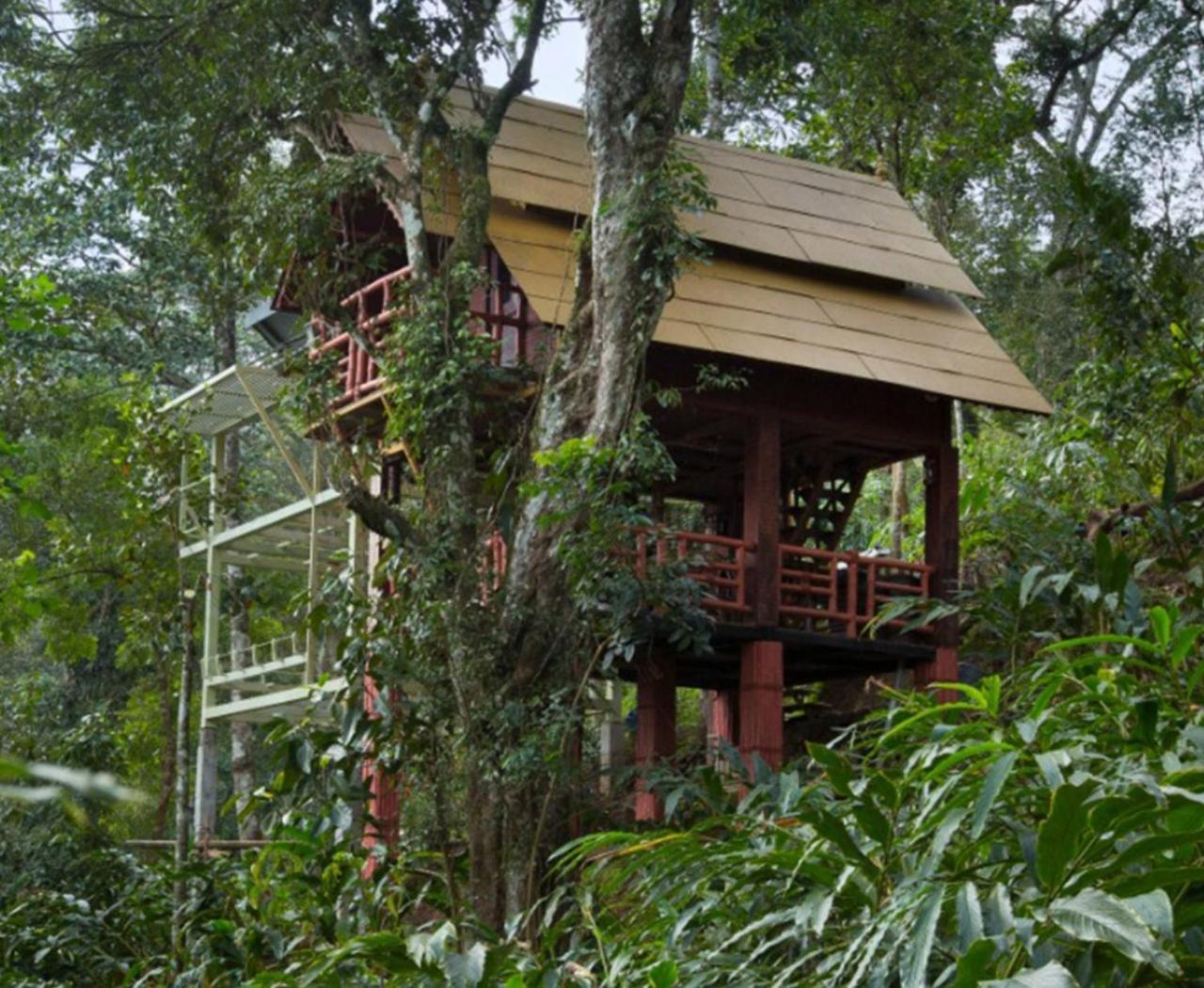 Bamboo Dale Resort, Munnar Exteriör bild