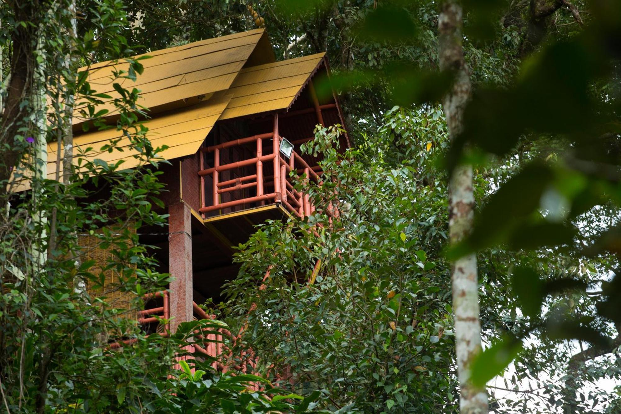 Bamboo Dale Resort, Munnar Exteriör bild