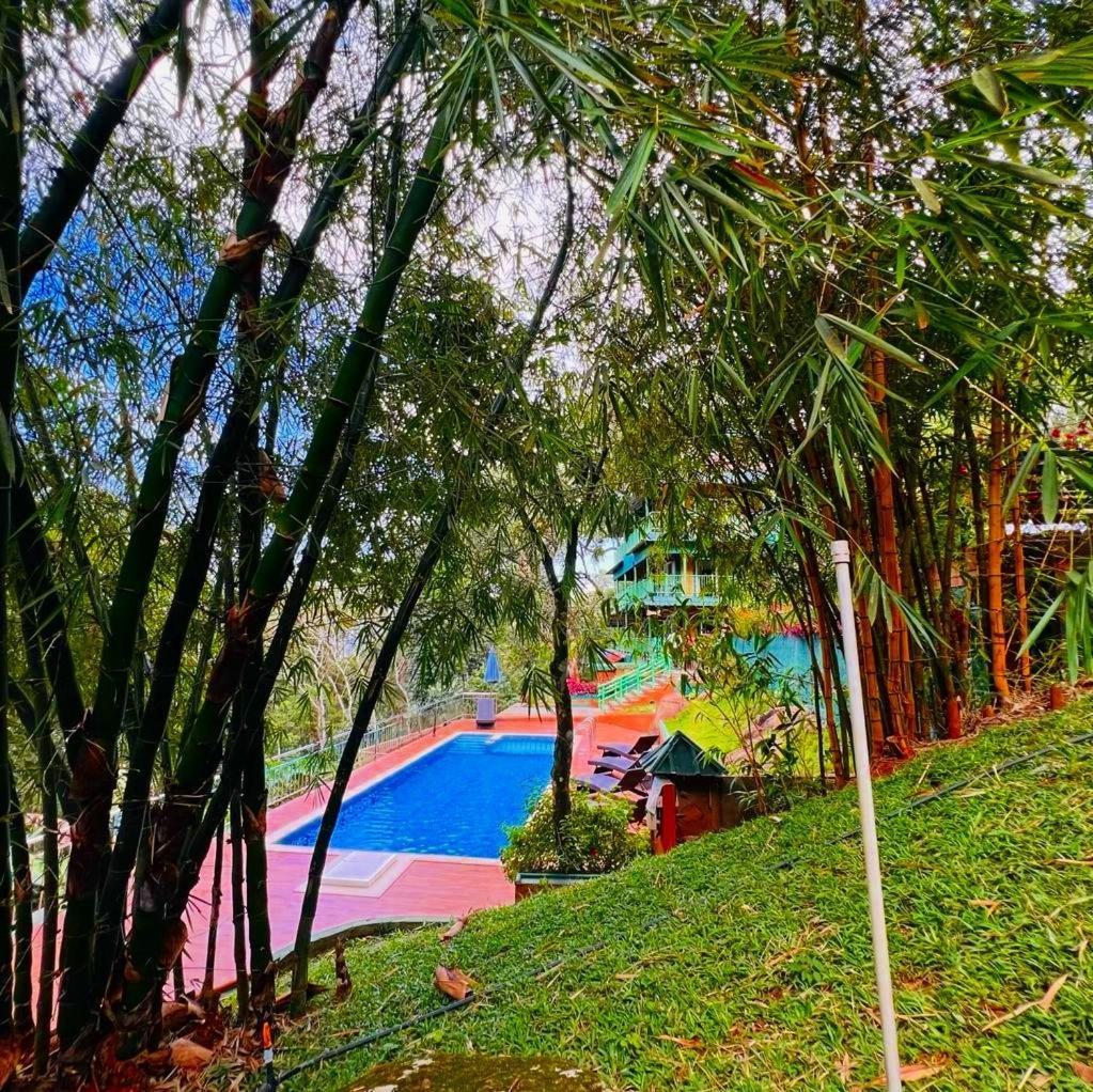 Bamboo Dale Resort, Munnar Exteriör bild